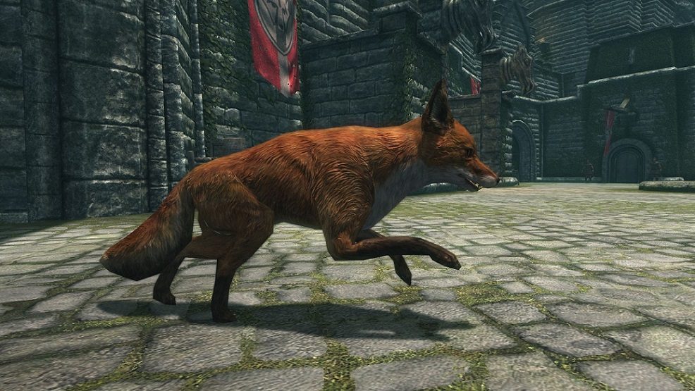 treasure fox theory توسعهدهنده سابق Bethesda: برخی از اتفاقات در بازیها تصادفی هستند - گیمفا