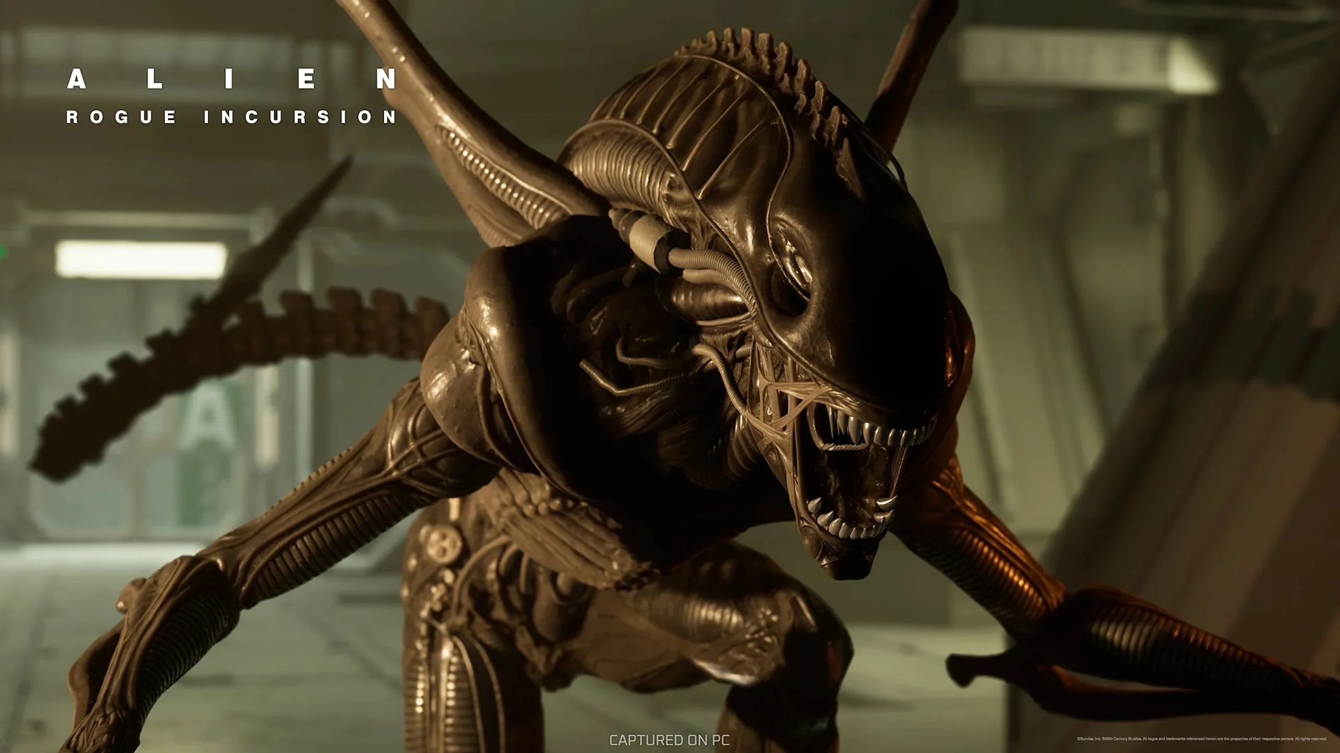alien-rogue-incursion-pic2-681df5ccda30dd3a040220dd اسکرینشاتهایی از نسخه غیرواقعیتمجازی بازی Alien: Rogue Incursion